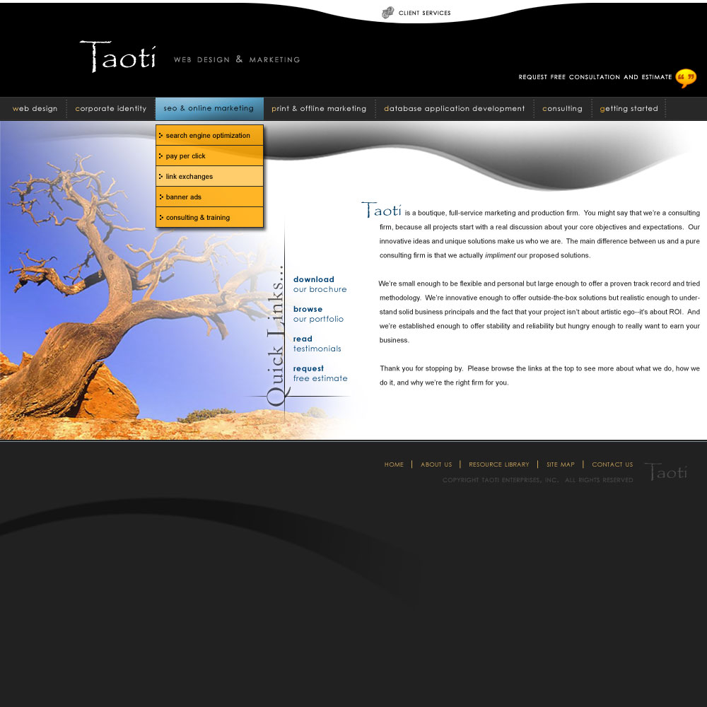 A History of Taoti Creative’s Websites 10